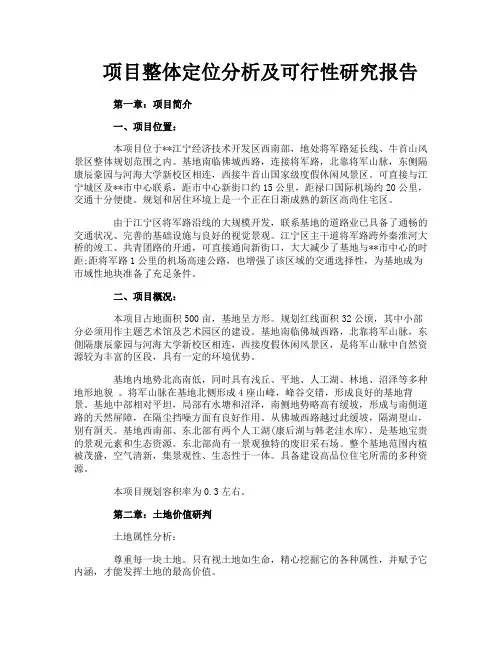 项目整体定位分析及可行性研究报告