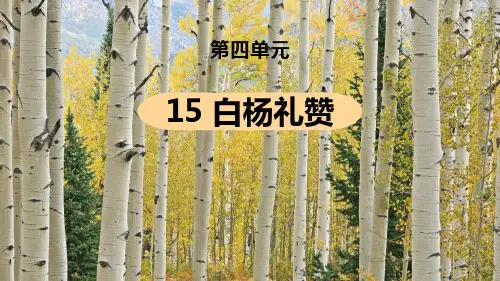 部编版八年级上册语文《白杨礼赞》PPT课文电子课件