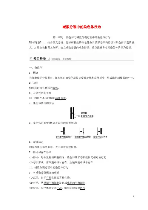 减数分裂中的染色体行为