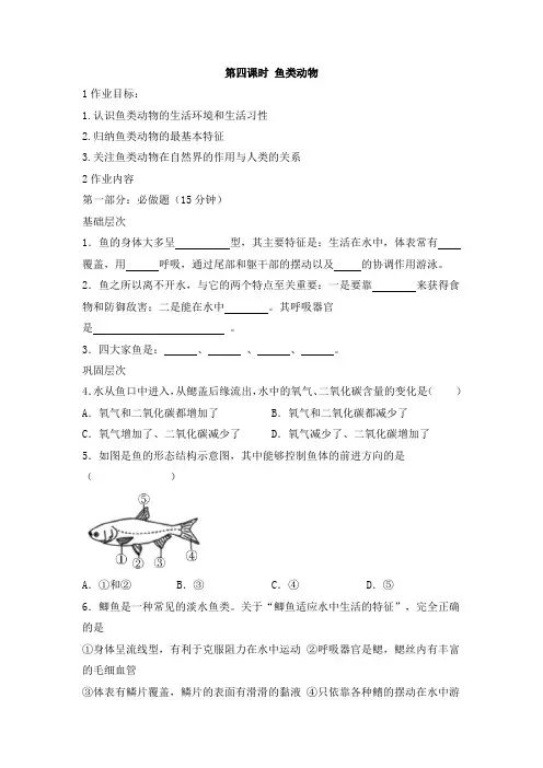 人教版八年级生物上册《第四课时 鱼类》作业设计