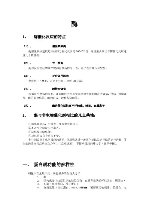 华南理工大学874生物化学部分答案自己总结