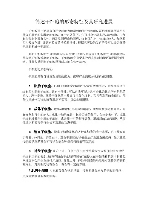 (推荐)简述干细胞的形态特征及其研究进展