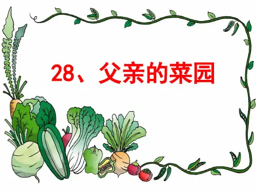 28父亲的菜园[1]