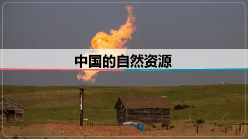 2024届高考地理一轮复习课件中国自然资源[1]
