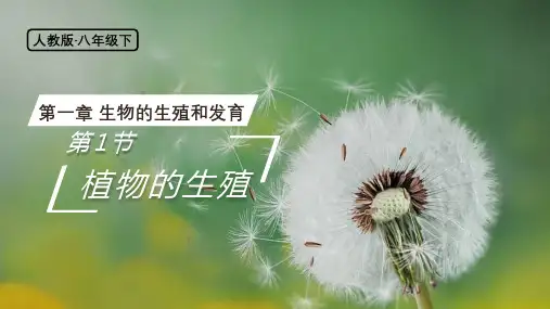 初中生物人教版 八年级下册 生物 7.1.1 植物的生殖