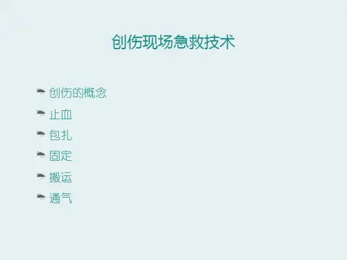 创伤现场急救技术ppt课件