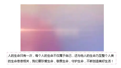 8.1 认识生命 课件(共27张PPT)+内嵌视频.ppt