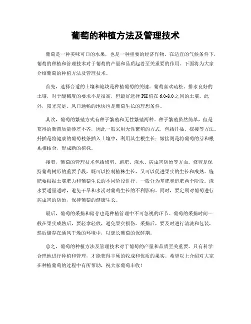 葡萄的种植方法及管理技术
