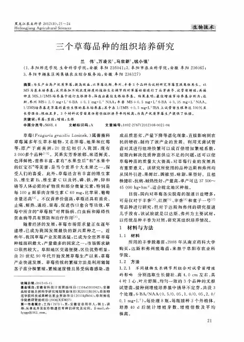 三个草莓品种的组织培养研究