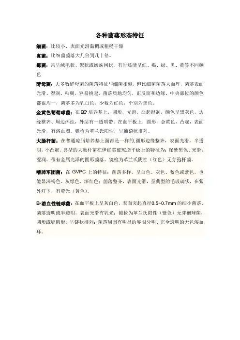 各种菌落形态特征