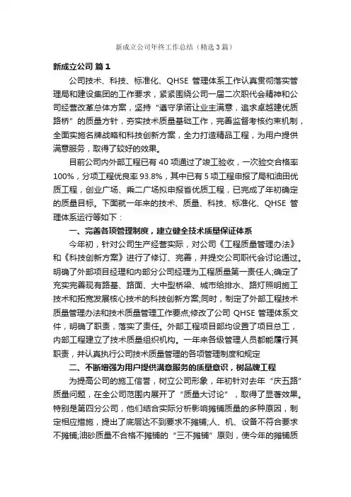 新成立公司年终工作总结（精选3篇）