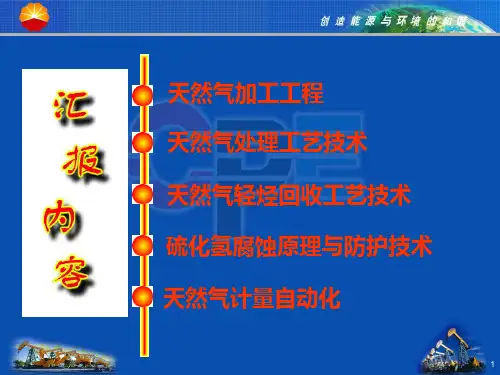 天然气处理工艺和轻烃回收技术