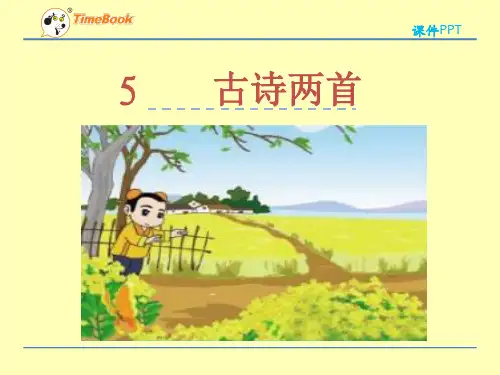 (公开课课件)苏教版五年级下册5古诗两首 游园不值 宿新市徐公店课件