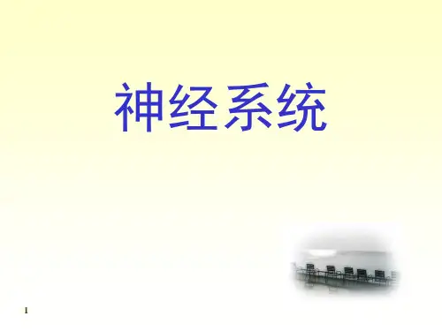 170中枢神经系统《人体解剖学》《正常人体结构》课件