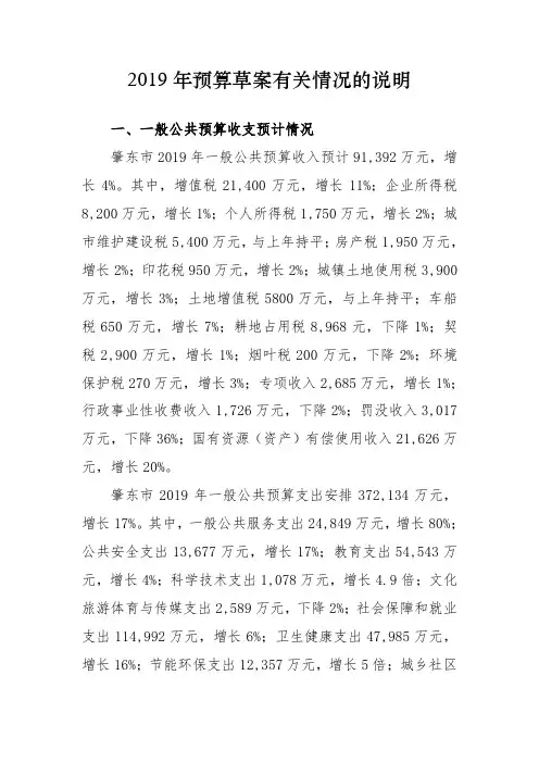 2019年预算草案有关情况的说明
