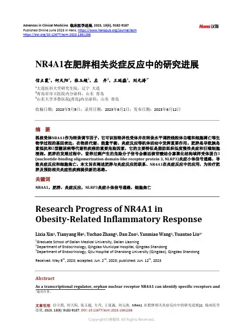 NR4A1_在肥胖相关炎症反应中的研究进展