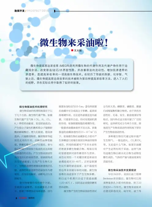 微生物来采油啦!