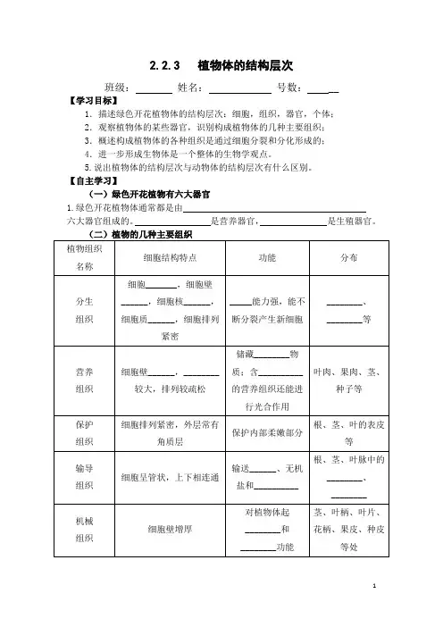 3.第三节  植物体的结构层次导学案