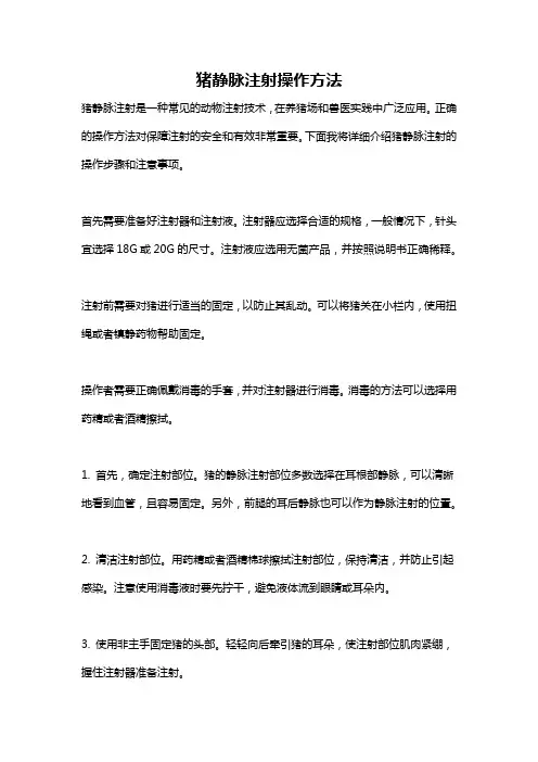 猪静脉注射操作方法