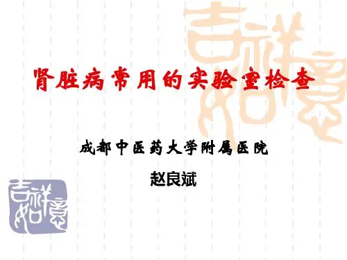 肾病常用实验室检查