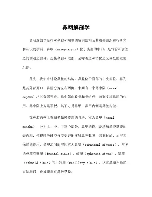 鼻咽解剖学