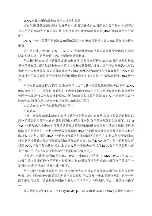 蛋白质电泳课件