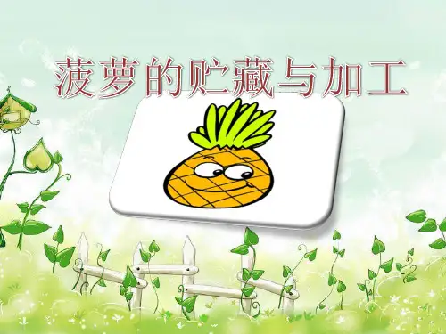 菠萝