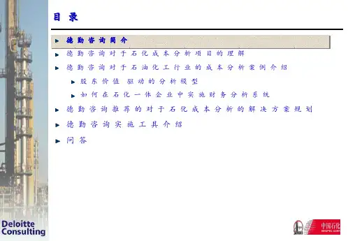 石油化工股份有限公司财务成本分析项目方案48页PPT.pptx