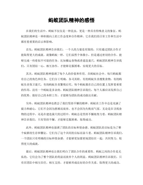 蚂蚁团队精神的感悟