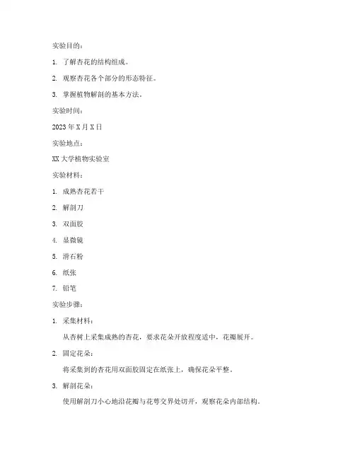 杏花的解剖实验报告