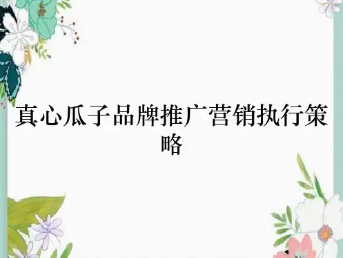 真心瓜子品牌推广营销执行策略