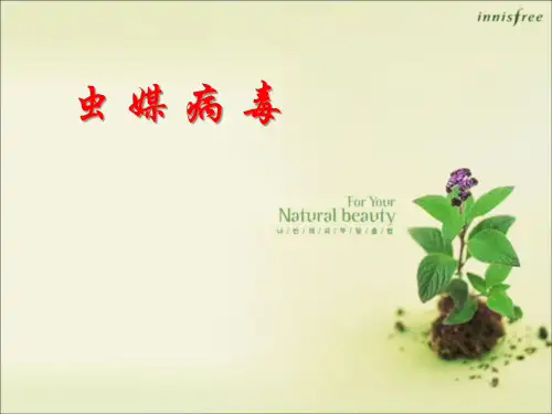 病毒学：虫媒病毒