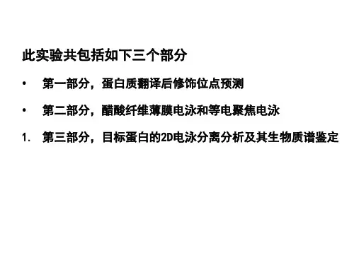 综合性设计性实验