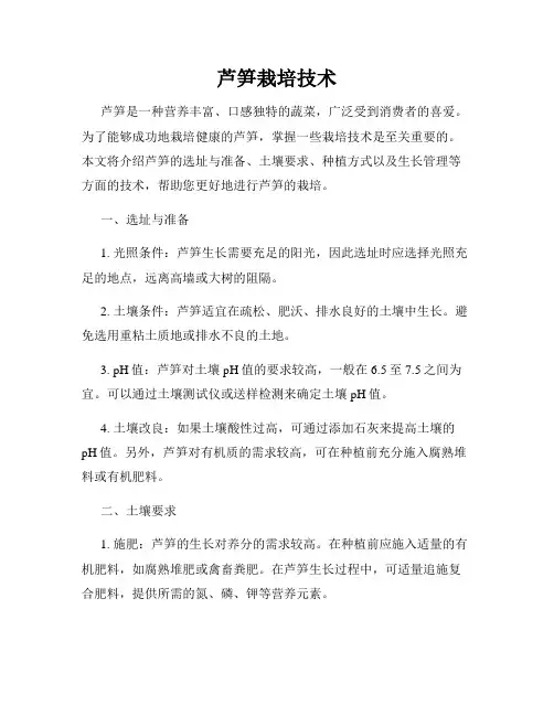 芦笋栽培技术