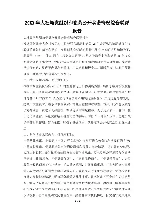 2019年人社局党组织和党员公开承诺情况综合联评报告