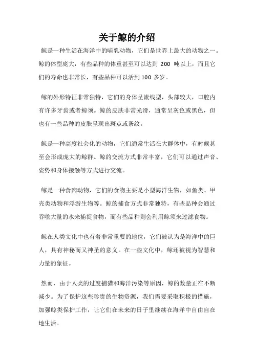 关于鲸的介绍