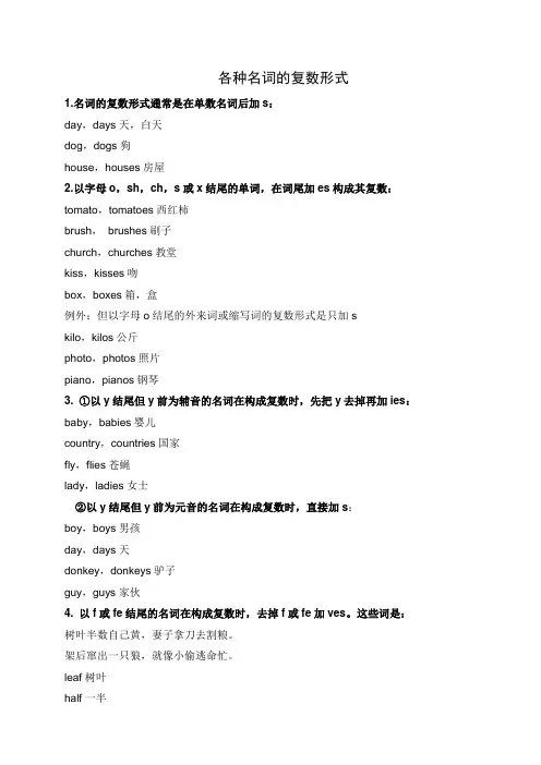 各种名词的复数形式