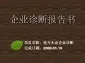 企业诊断报告书