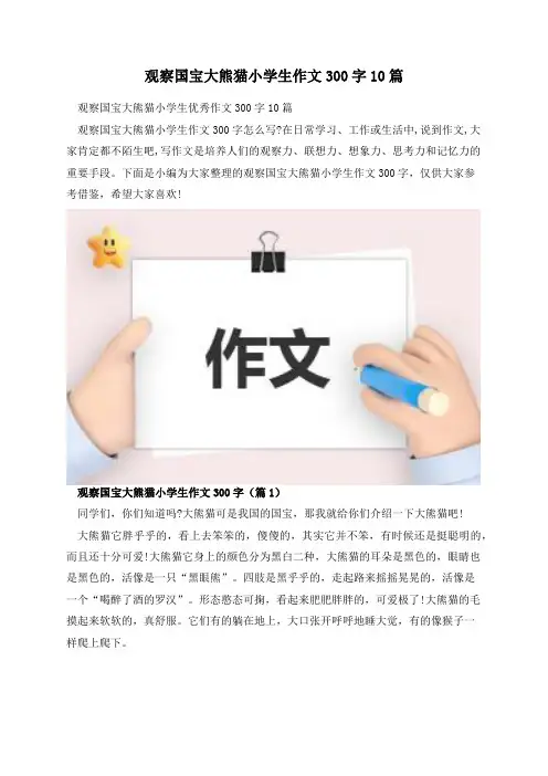 观察国宝大熊猫小学生作文300字10篇