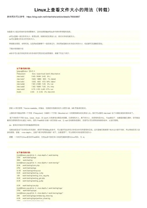 Linux上查看文件大小的用法（转载）