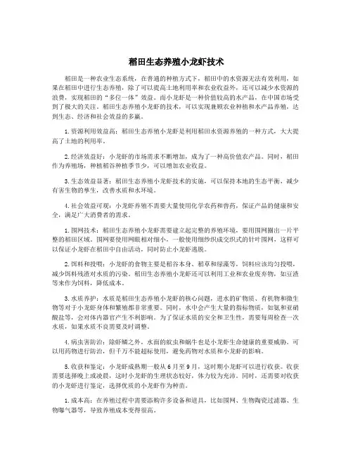 稻田生态养殖小龙虾技术