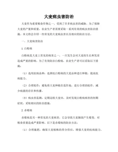大麦病虫害防治