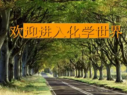 水分子的运动PPT课件5 鲁教版