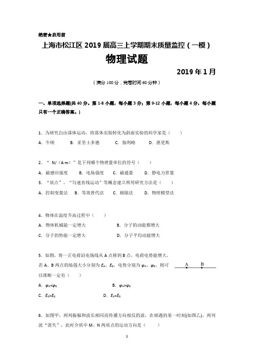上海市松江区2018—2019学年高三上学期期末质量监控(一模)物理试题及答案