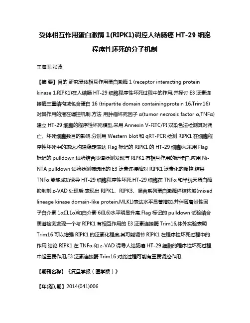 受体相互作用蛋白激酶1(RIPK1)调控人结肠癌HT-29细胞程序性坏死的分子机制