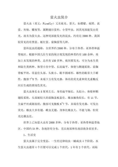萤火虫简介
