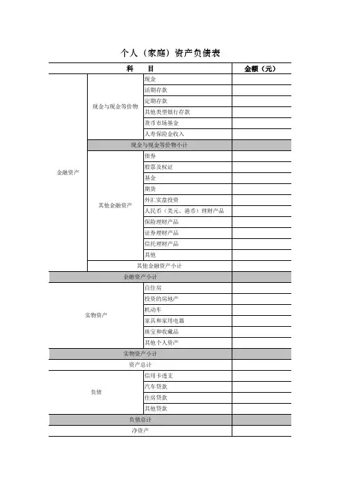 个人 家庭 资产负债表