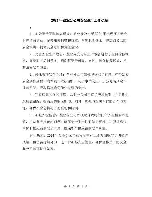 2024年盐业分公司安全生产工作小结