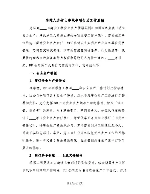 防范人身伤亡事故专项行动工作总结（2篇）