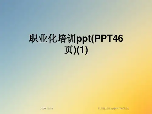 职业化培训ppt(PPT46页)(1)